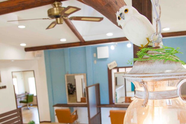 プリモ パッソ ラテ(Primo Passo LATTE)3