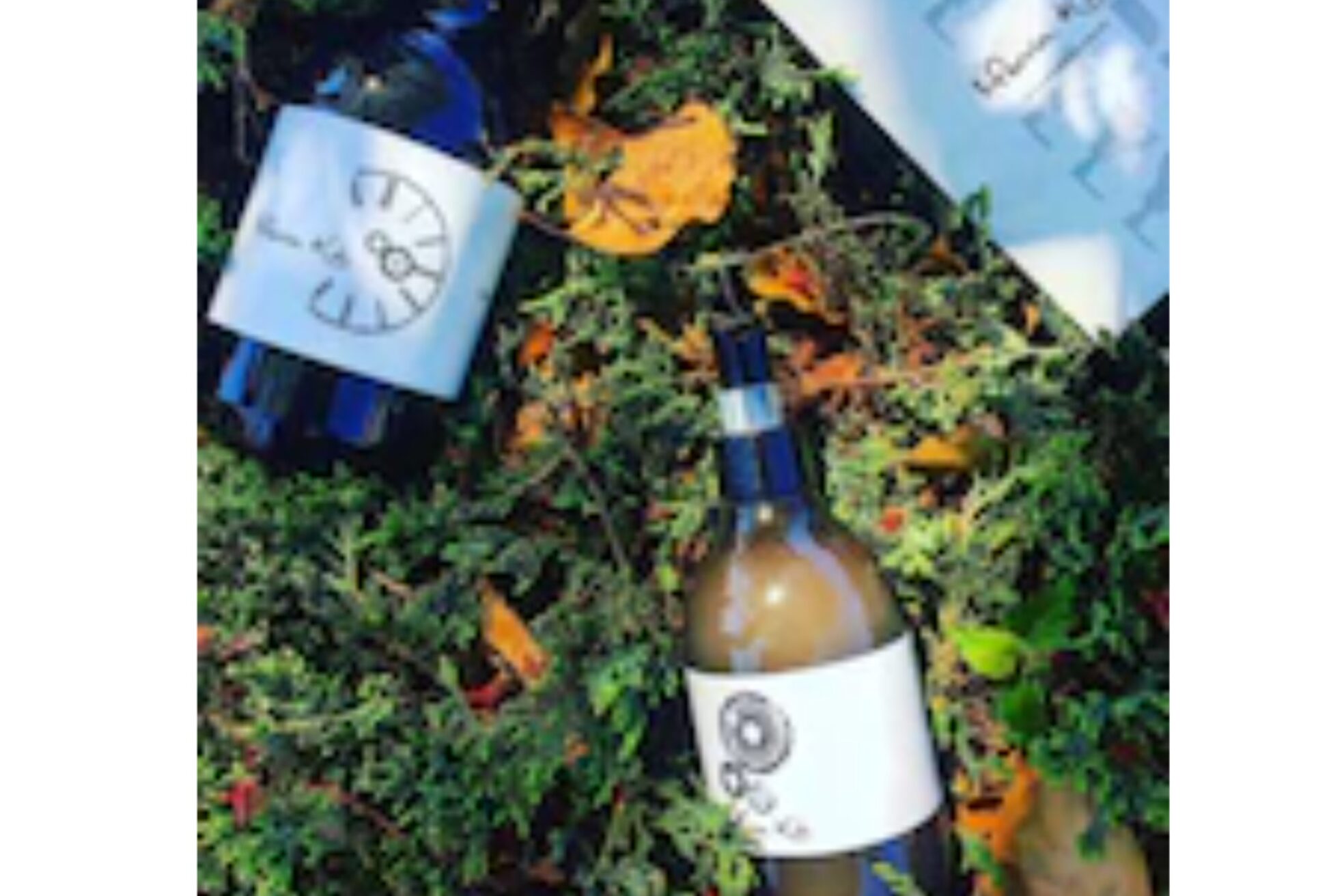 ナチュラル(Natural)4