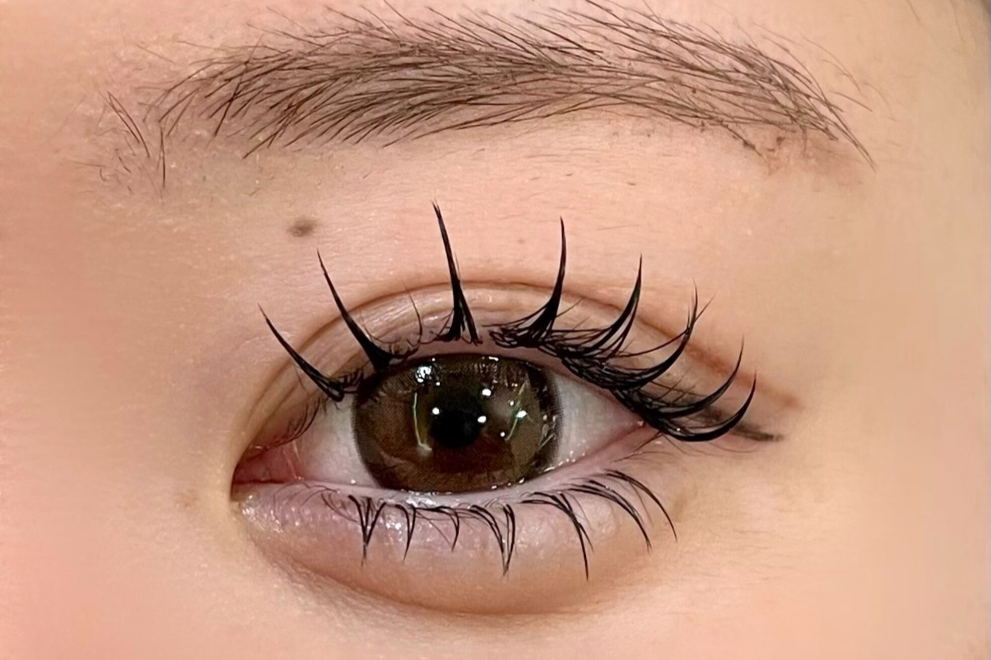 ビーナスベルト 渋谷宮下パーク(VENUS BELT)8