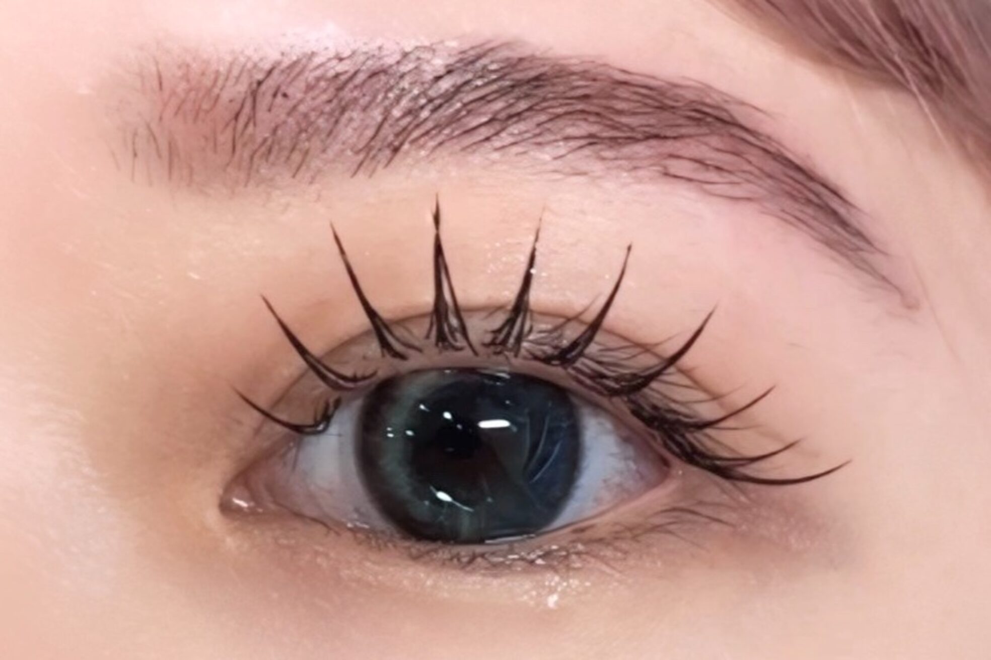 ビーナスベルト 渋谷宮下パーク(VENUS BELT)9