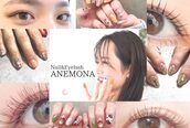 アネモナ(ANEMONA)