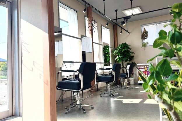 コンドウグラウンドオオイタヘアー(Kondo Ground Oita hair)1