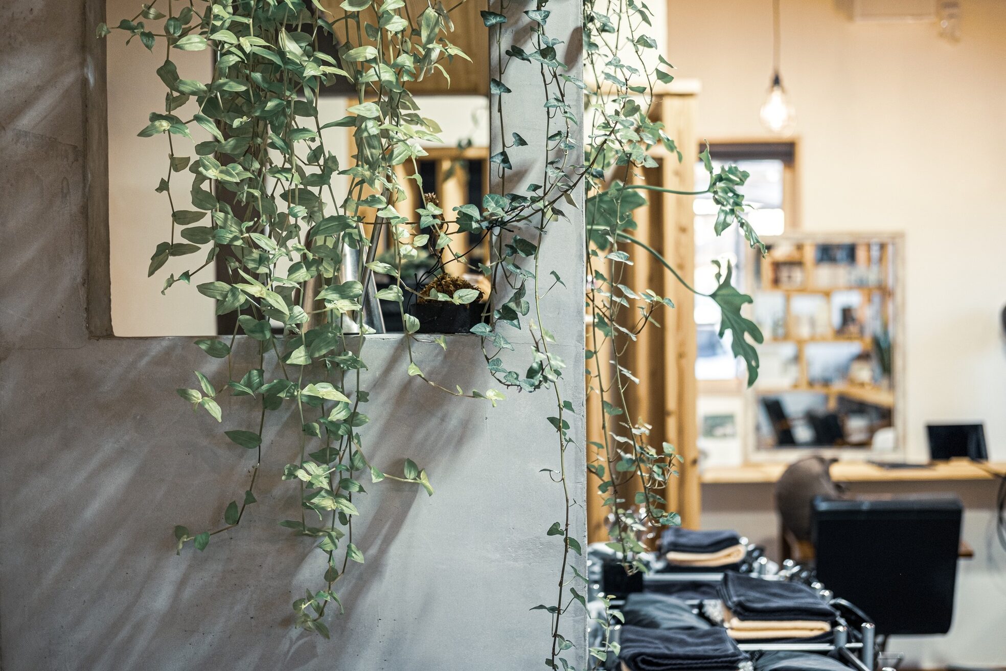 シェリール(Cherir)8