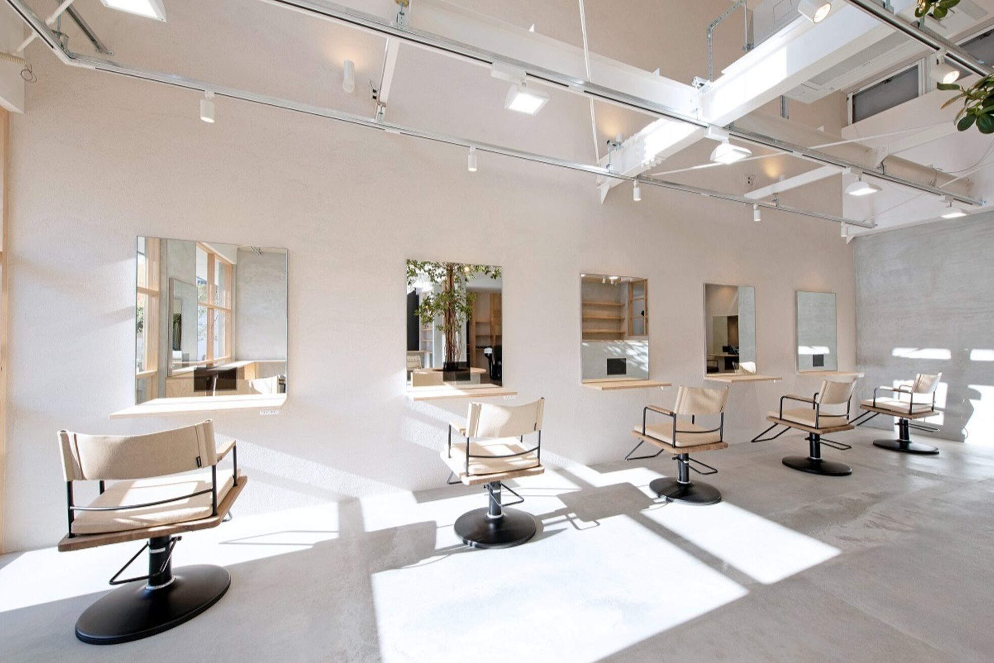 ティーズピーク(ty s peak)10