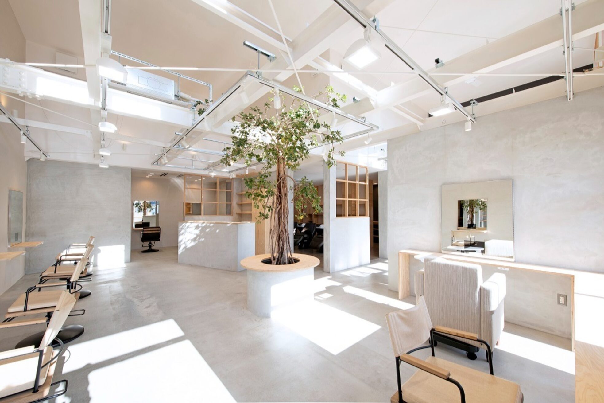 ティーズピーク(ty s peak)8