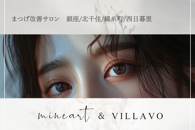 ヴィラーヴォ 銀座(VILLAVO)9