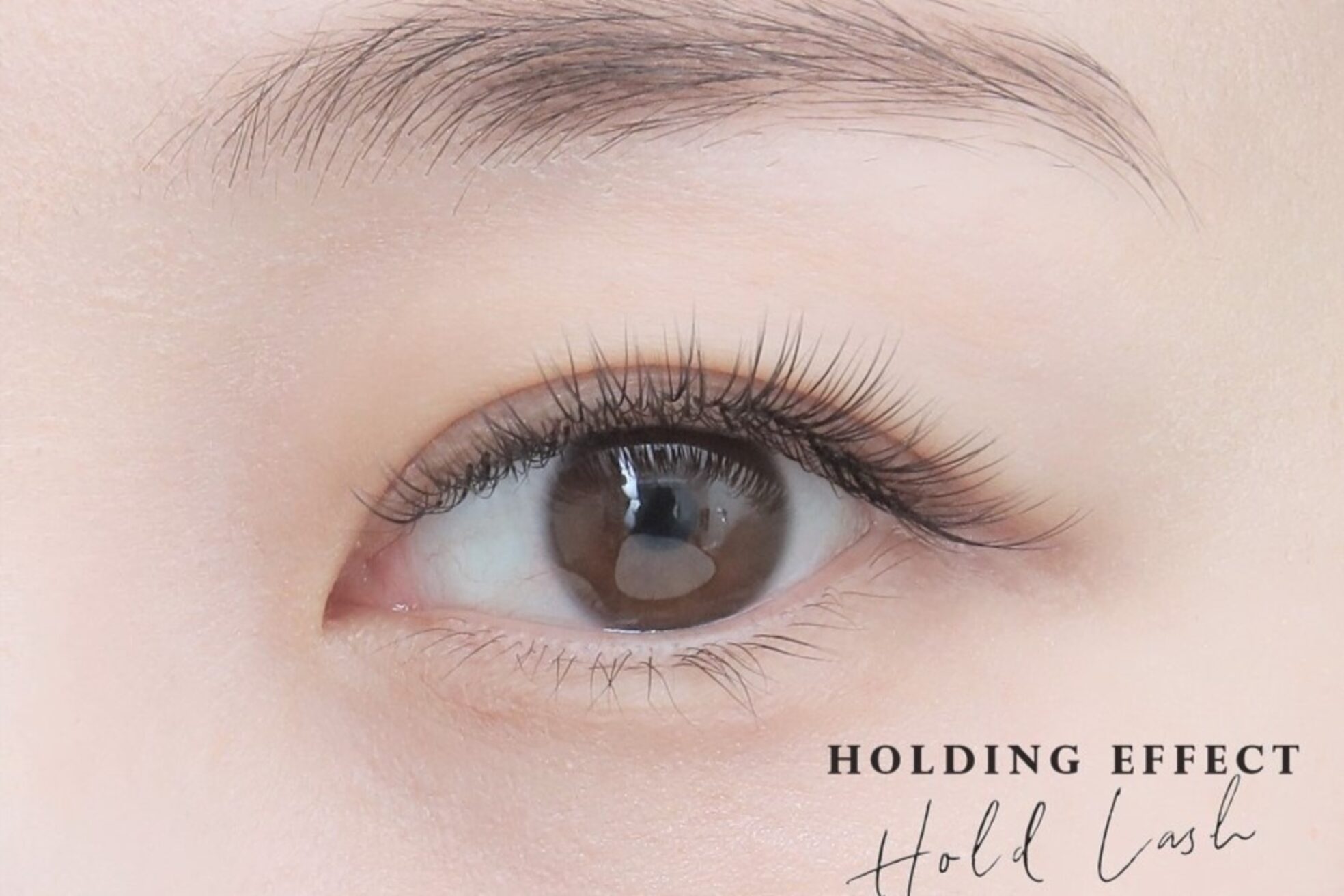 ヴィラーヴォ 銀座(VILLAVO)4