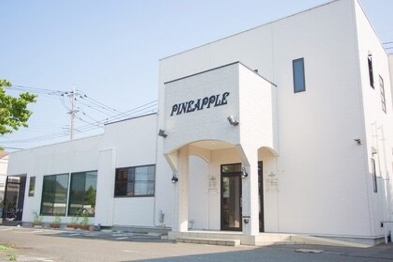 有限会社　パイナップル画像1