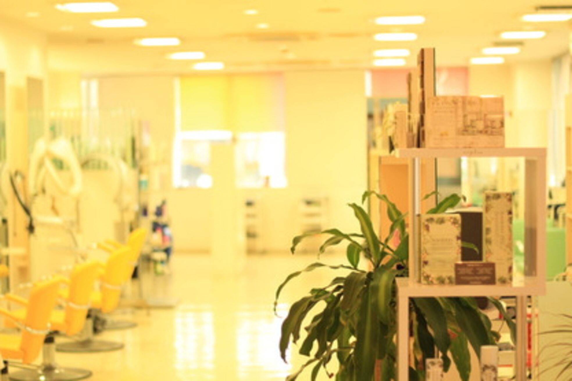 アンジュ ヘアー(ange HAIR)1