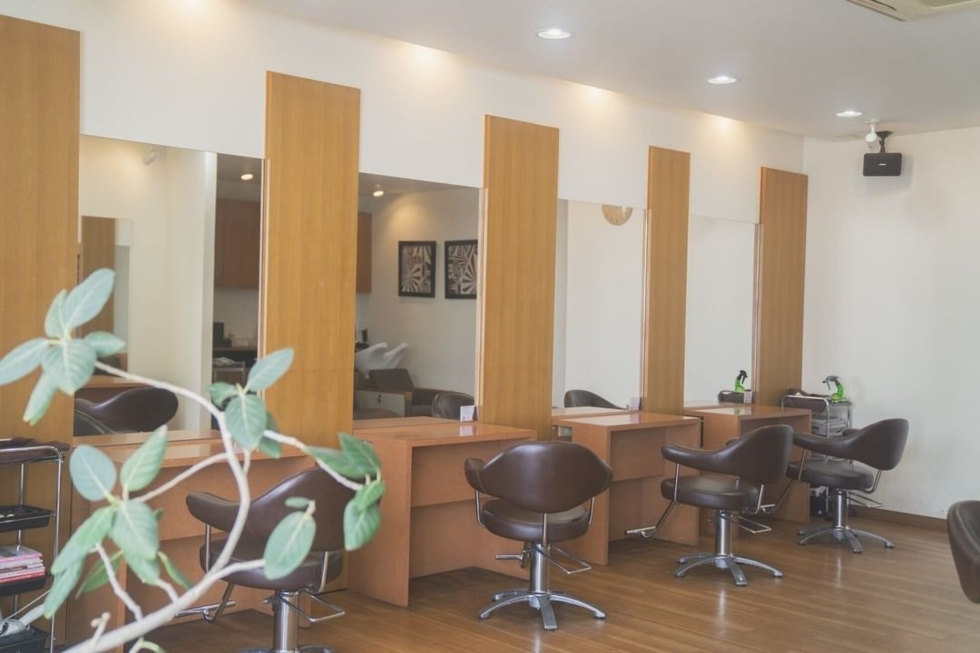 クレドヘアー(CRED HAIR)2