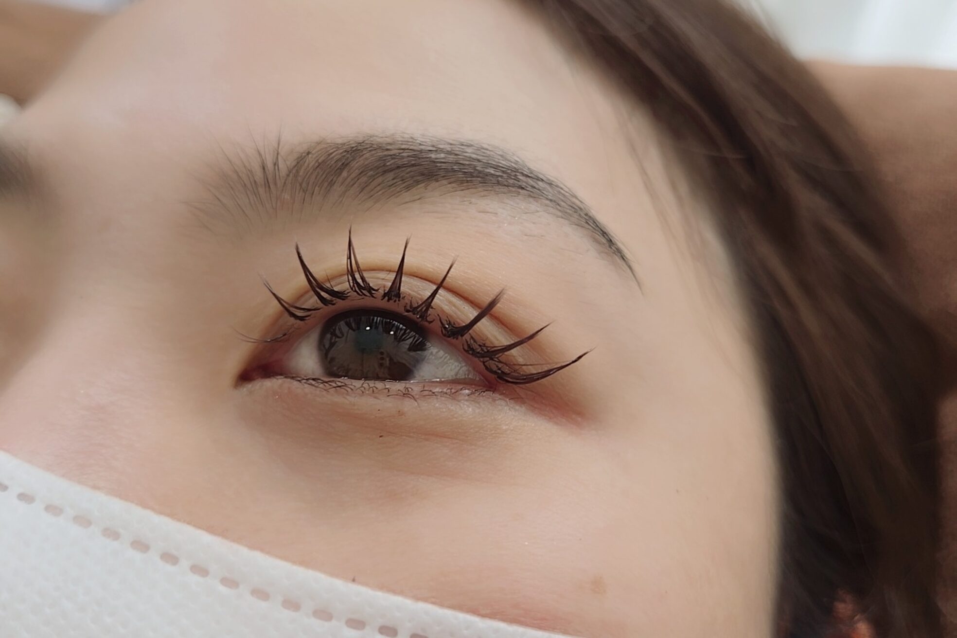 リチェルカ(ricerca)4