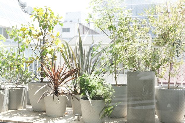 アフロディーテギンザ 神保町(APHRODITE GINZA)3