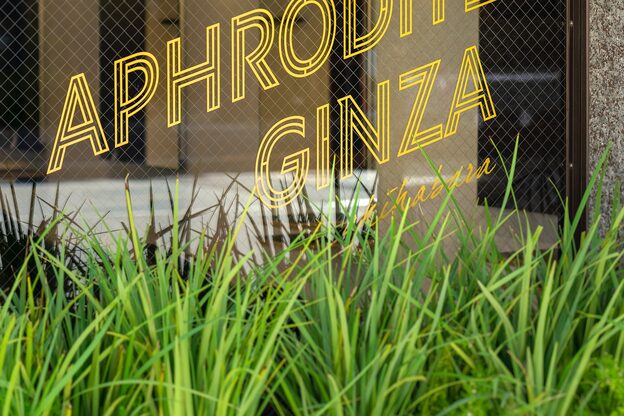 アフロディーテ ギンザ 秋葉原店(APHRODITE GINZA)2
