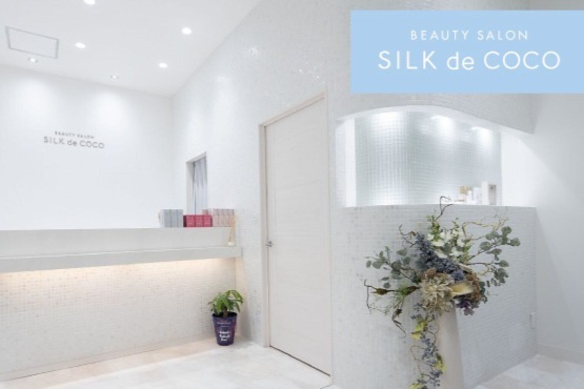シルク ド ココ(Silk de Coco)3