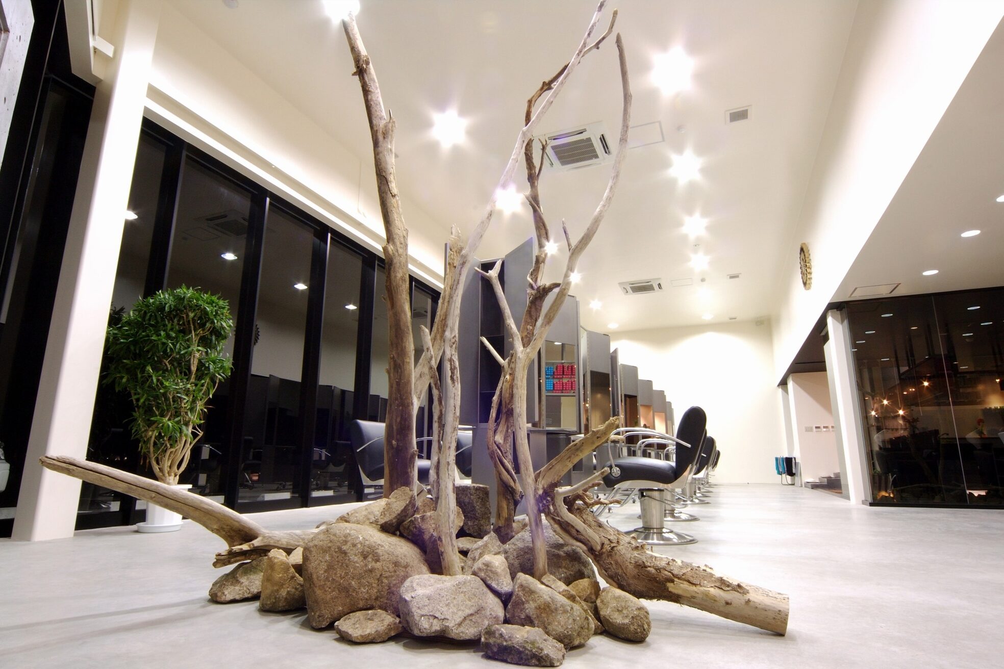 スニップス ロハス(SNIPS LOHAS)1