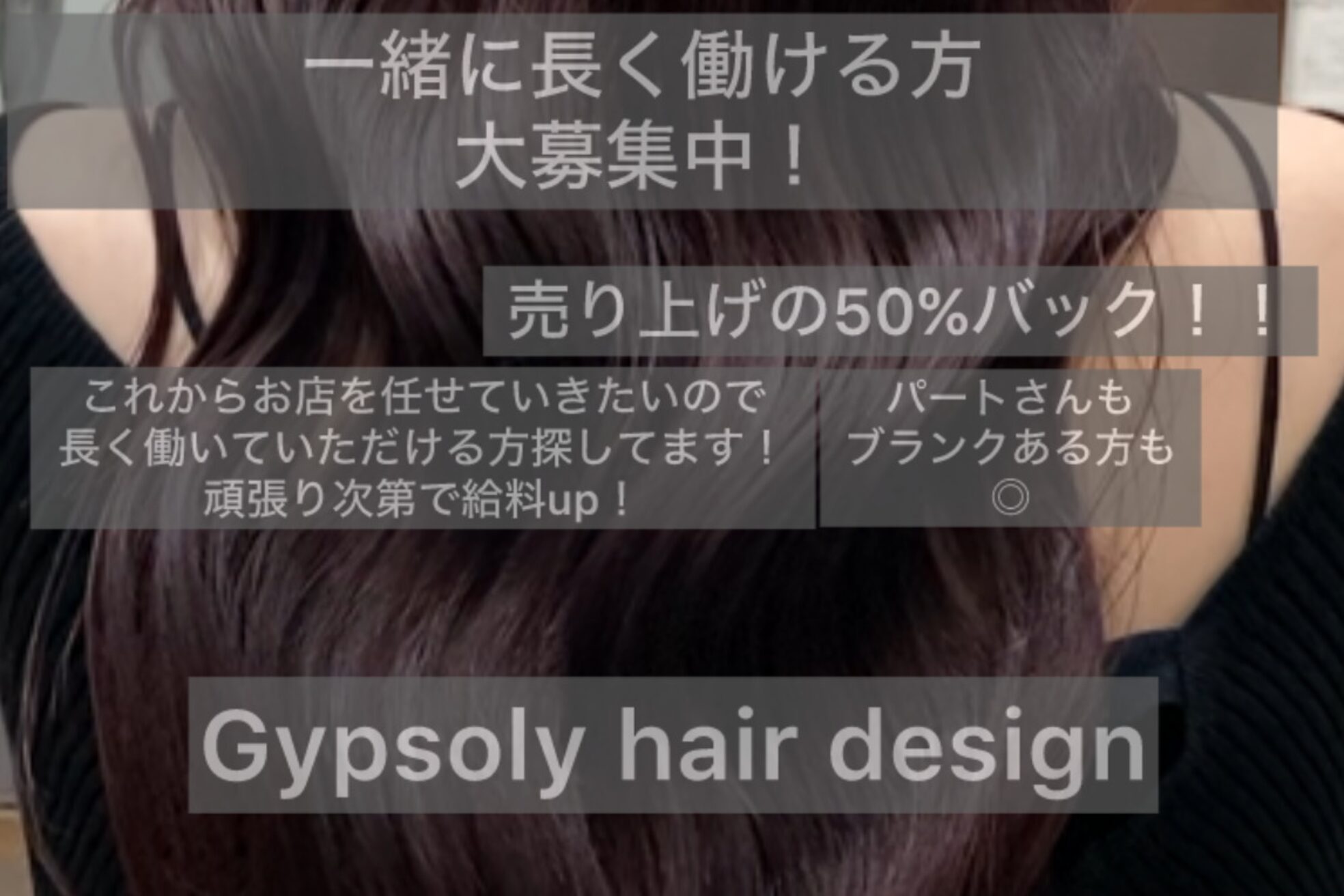ジプソリー(Gypsoly)1