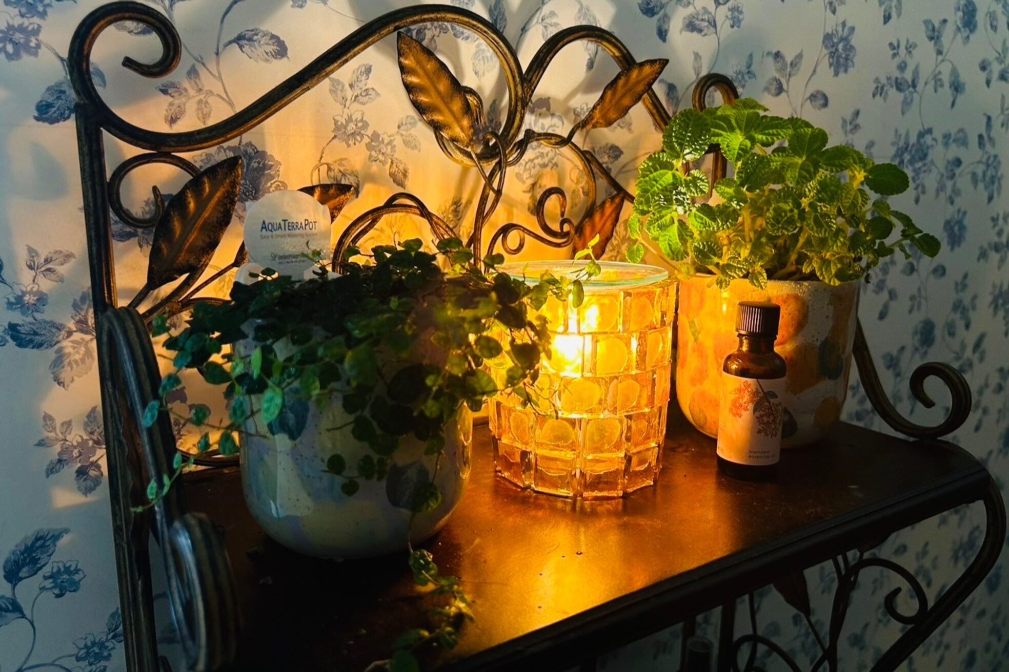 サクララ(Sakura la)19