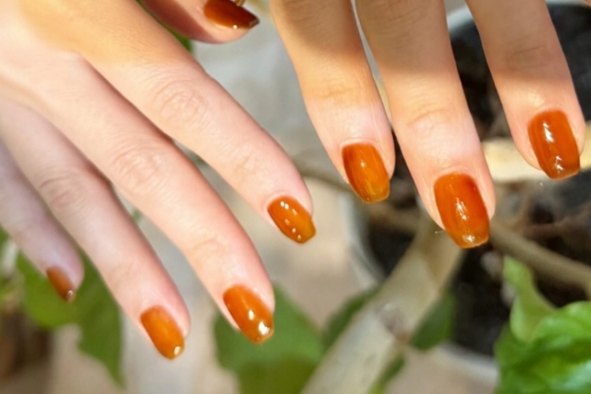 パスリー ネイルアンドケア(Parsley Nail&Care)2