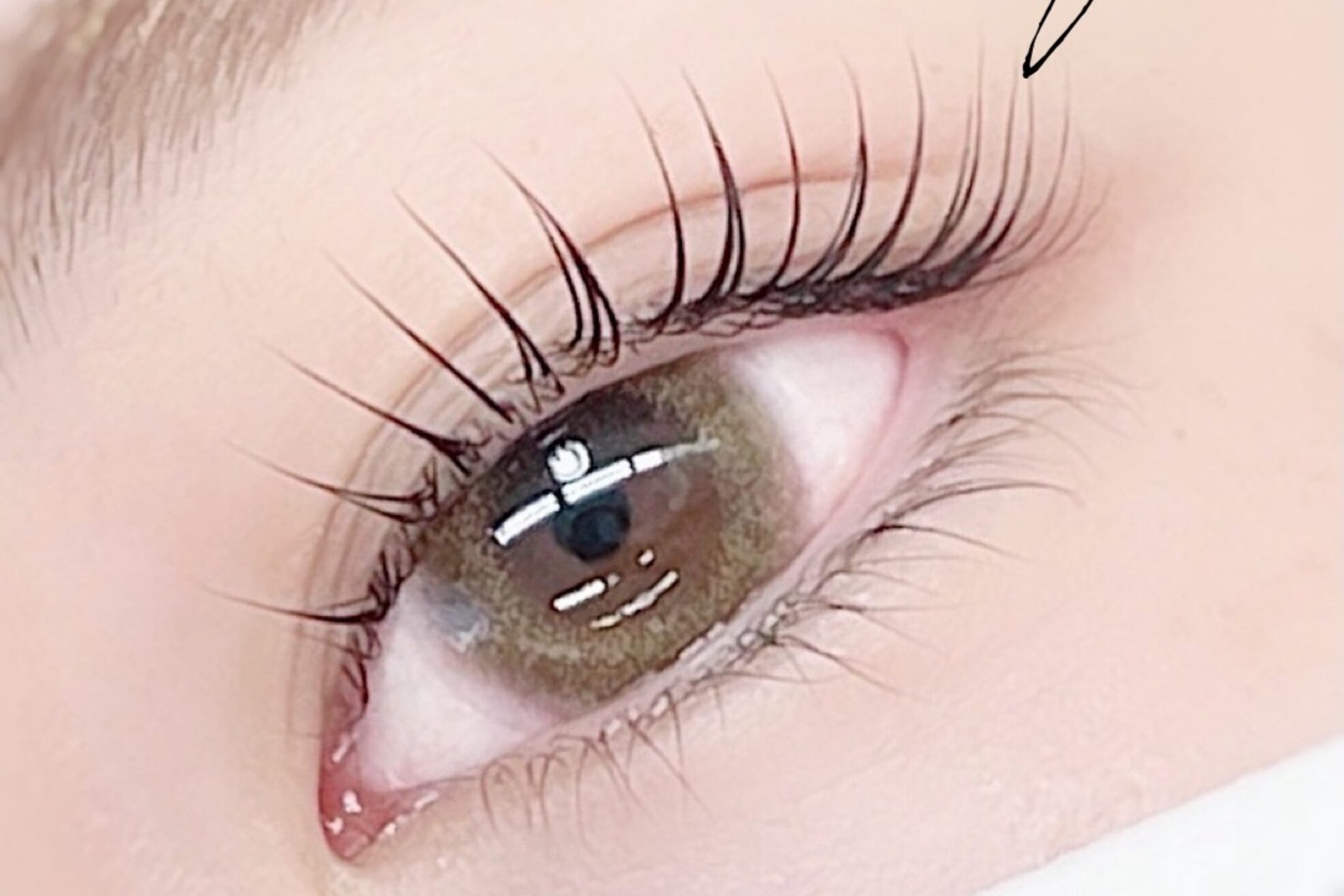 トリトン(triton)3