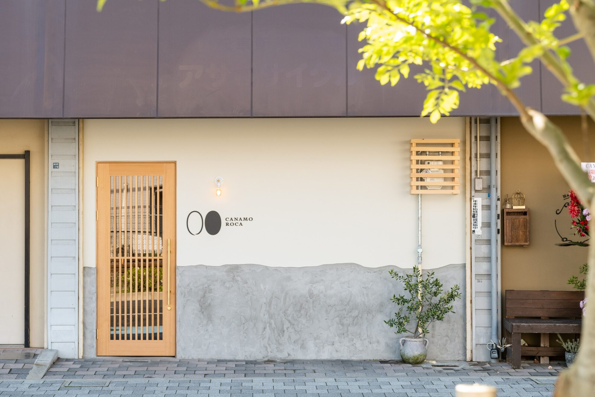 カナモロカ(CANAMO ROCA)2