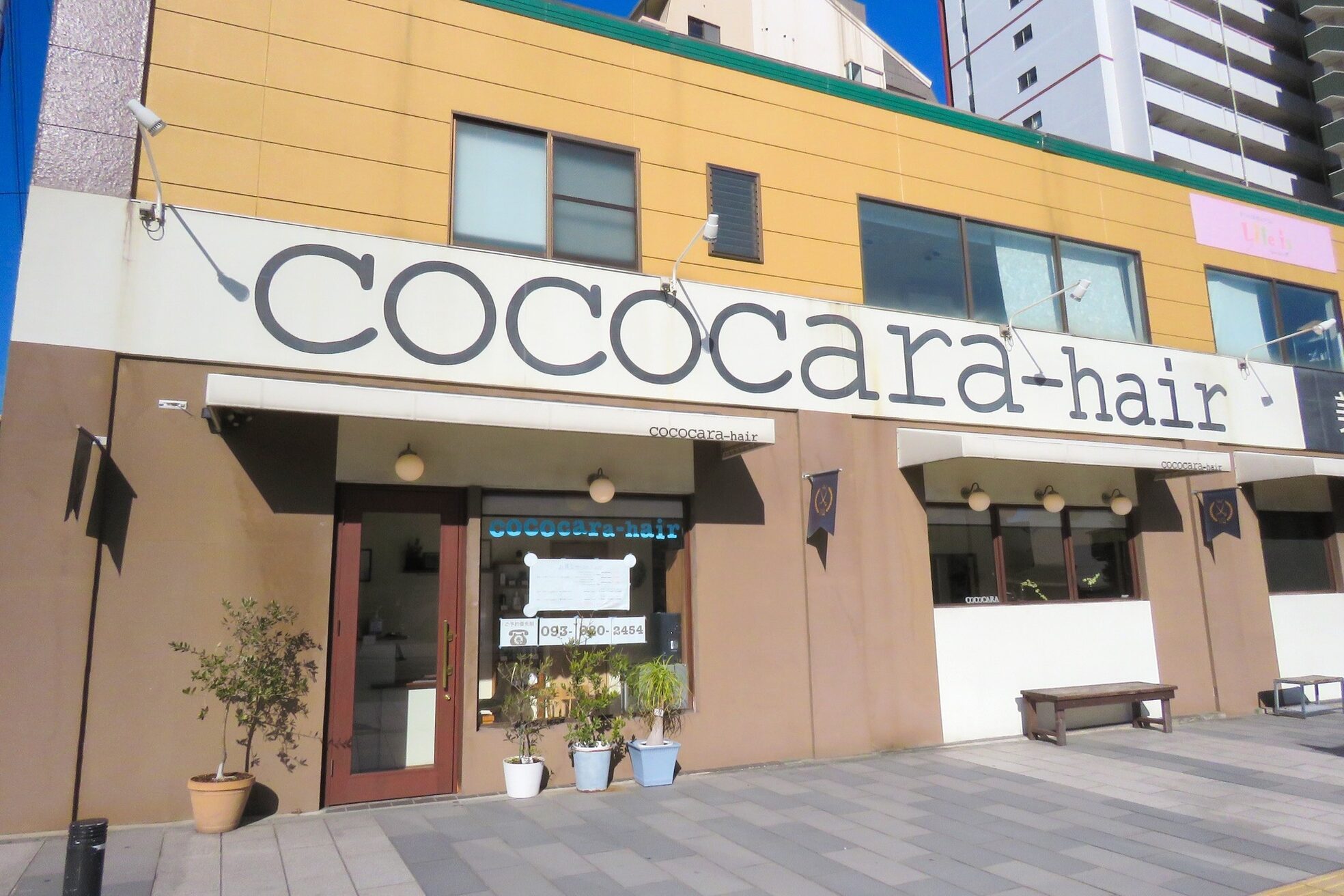 ココカラヘアー プラス(cococara‐hair plus)9