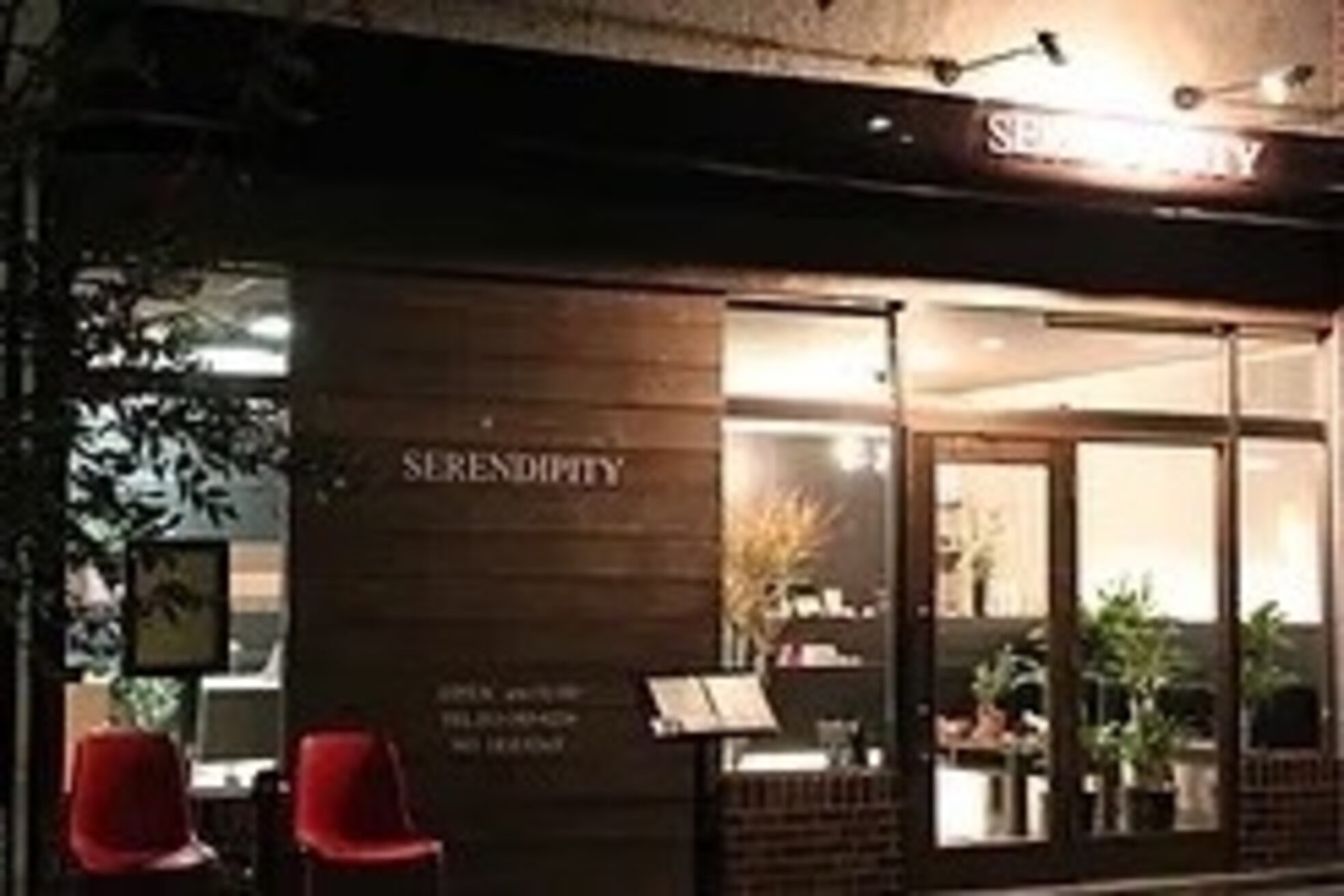 セレンディピティ(SERENDIPITY)2