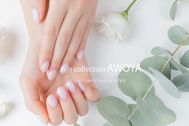 アオヤ(h/n collection AWOYA)3