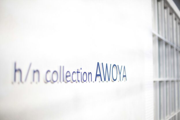 アオヤ(h/n collection AWOYA)4