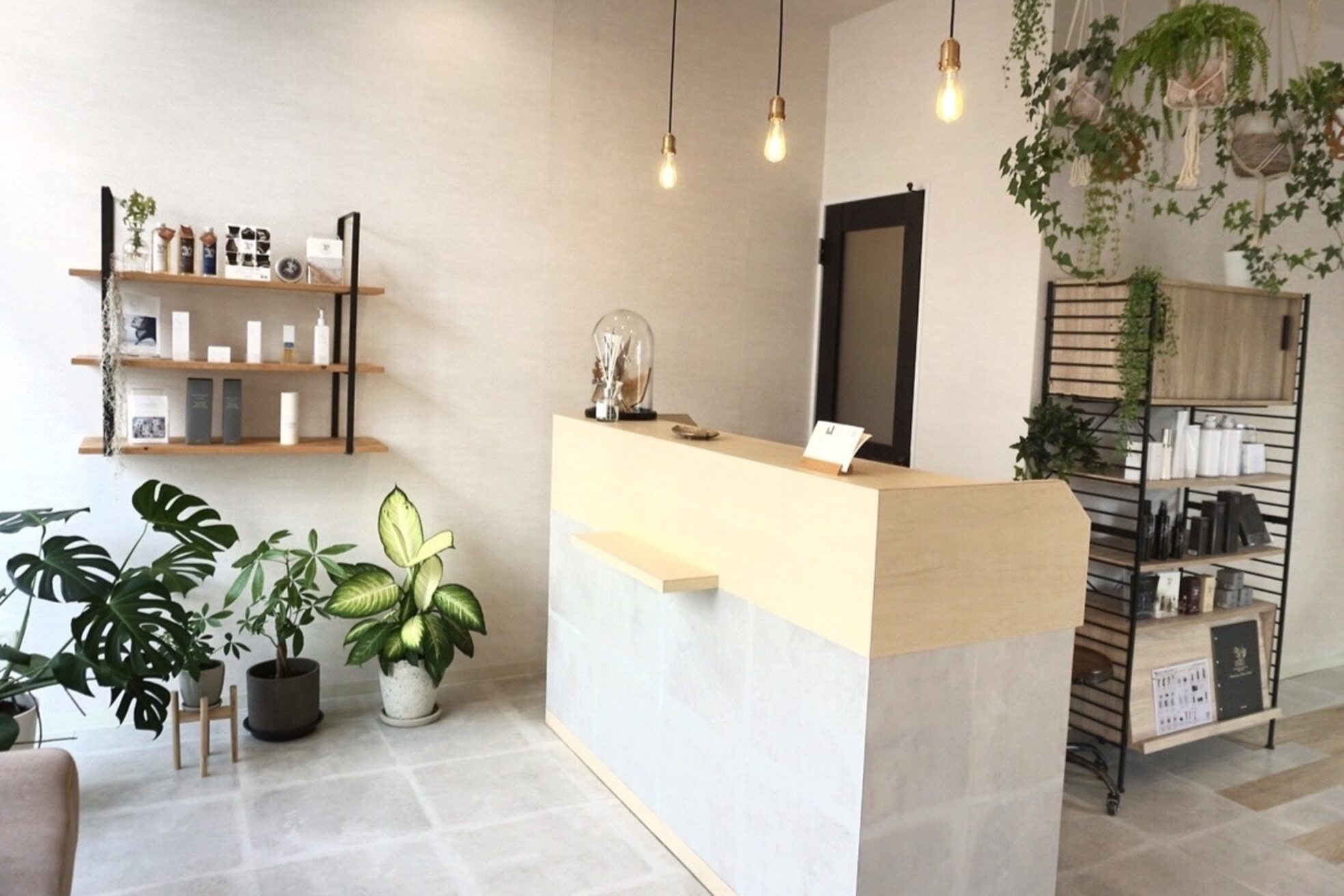 バーベナ(VERBENA)1