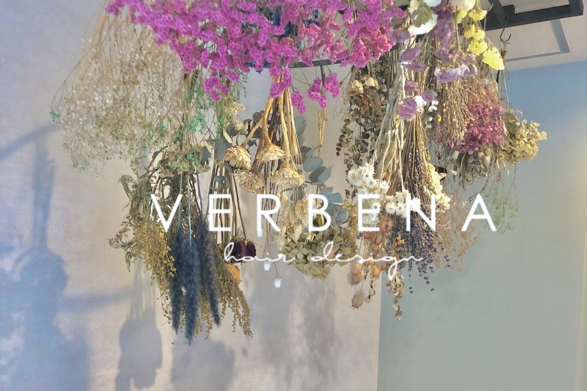 バーベナ(VERBENA)3
