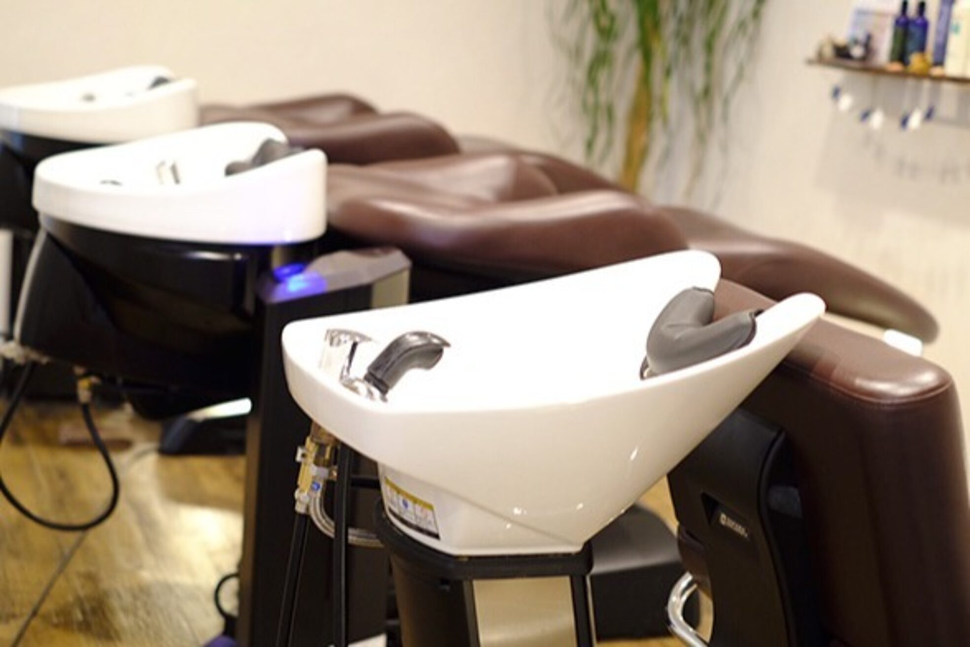 イタクラ 赤道店 (ITAKURA)1