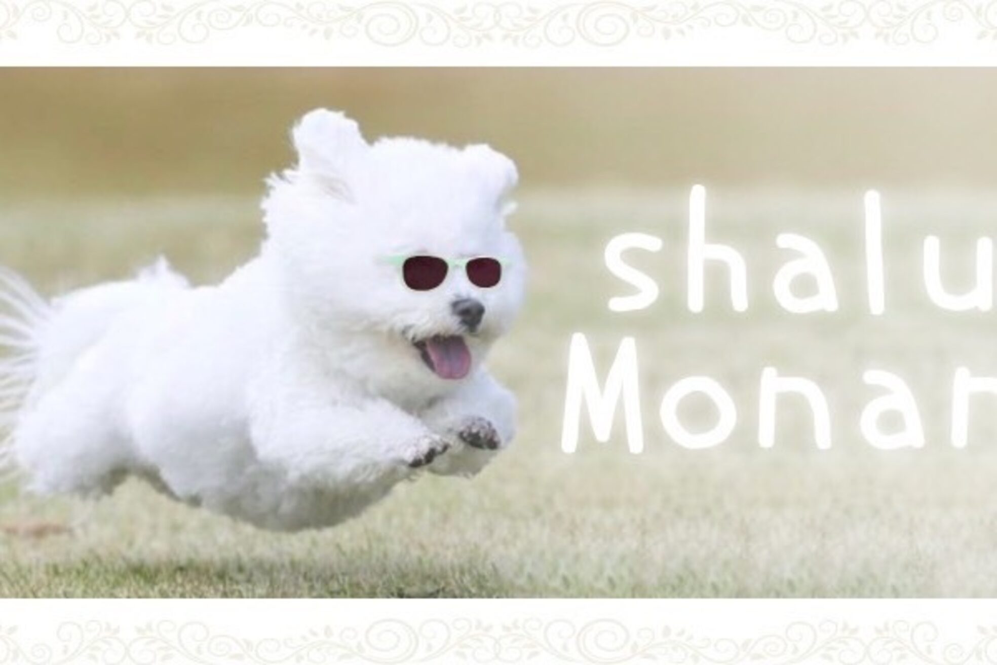 シャル 船橋(shalu)6