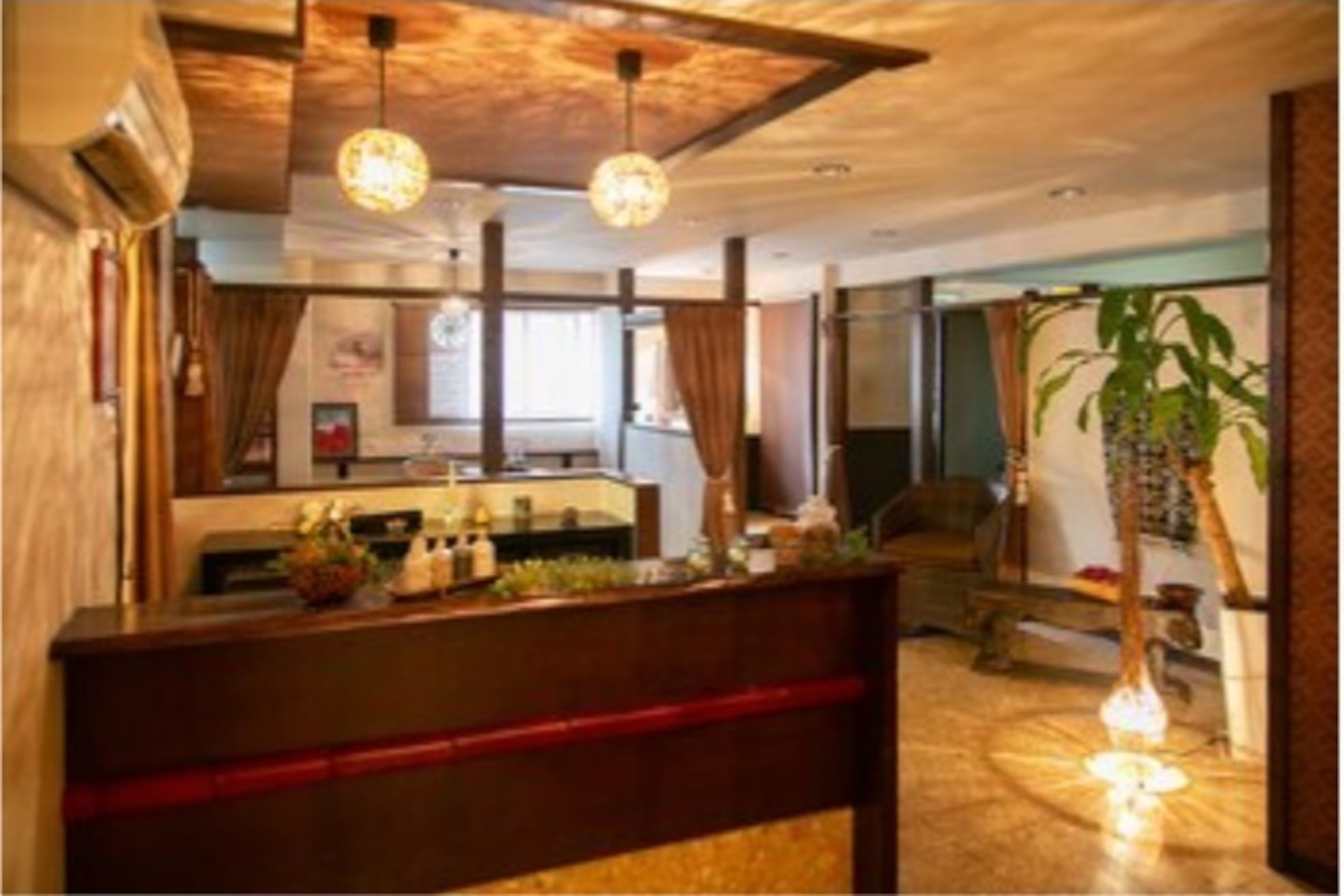 シードリン(Seedling)5