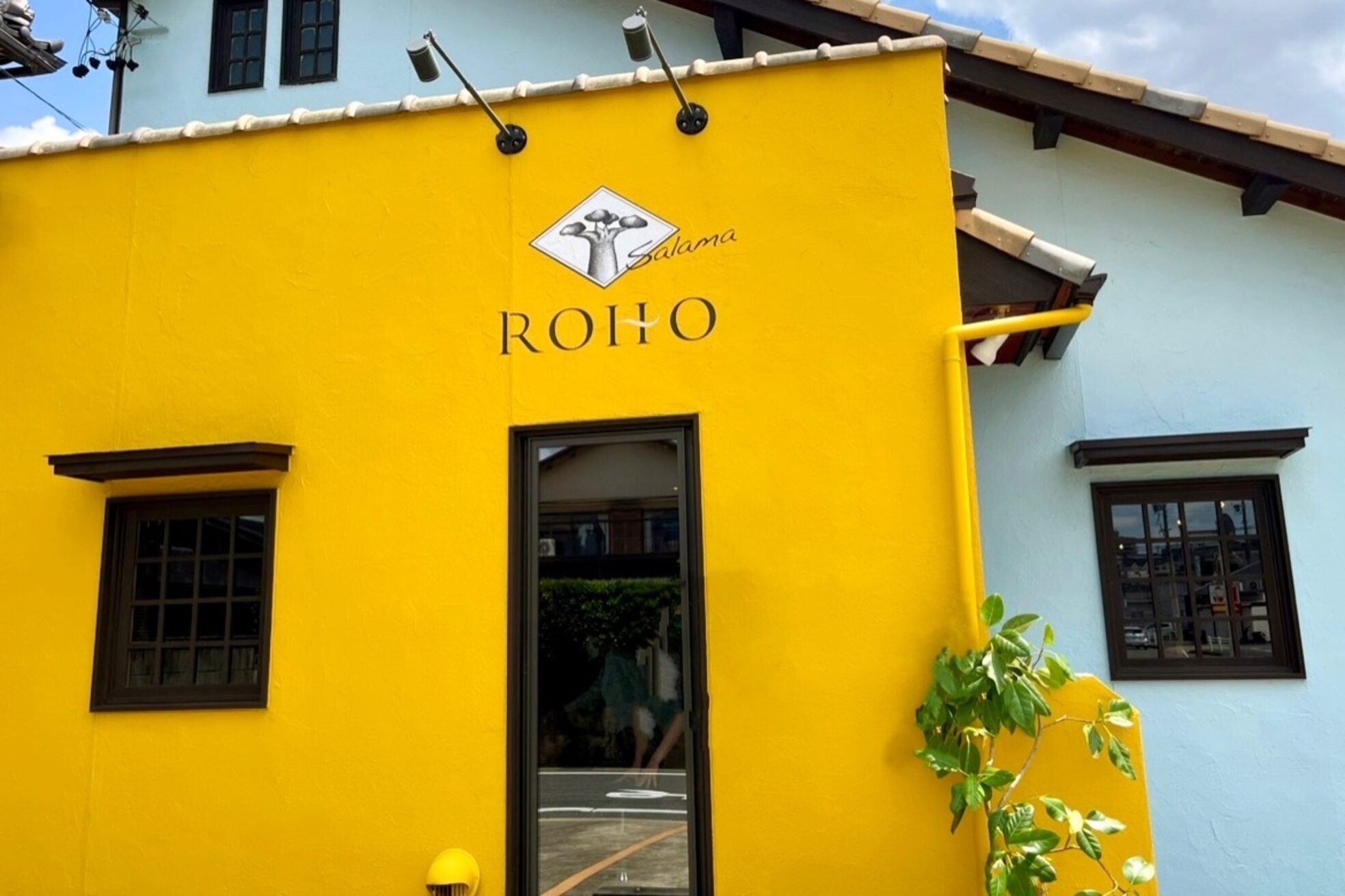 ロホサラマ(ROHO salama)10