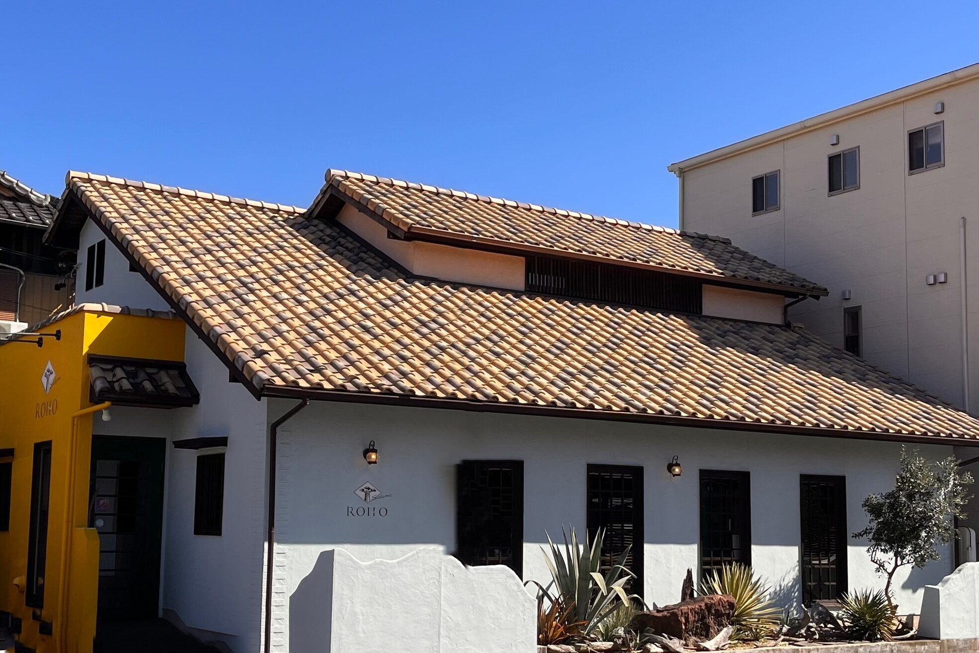 ロホサラマ(ROHO salama)9