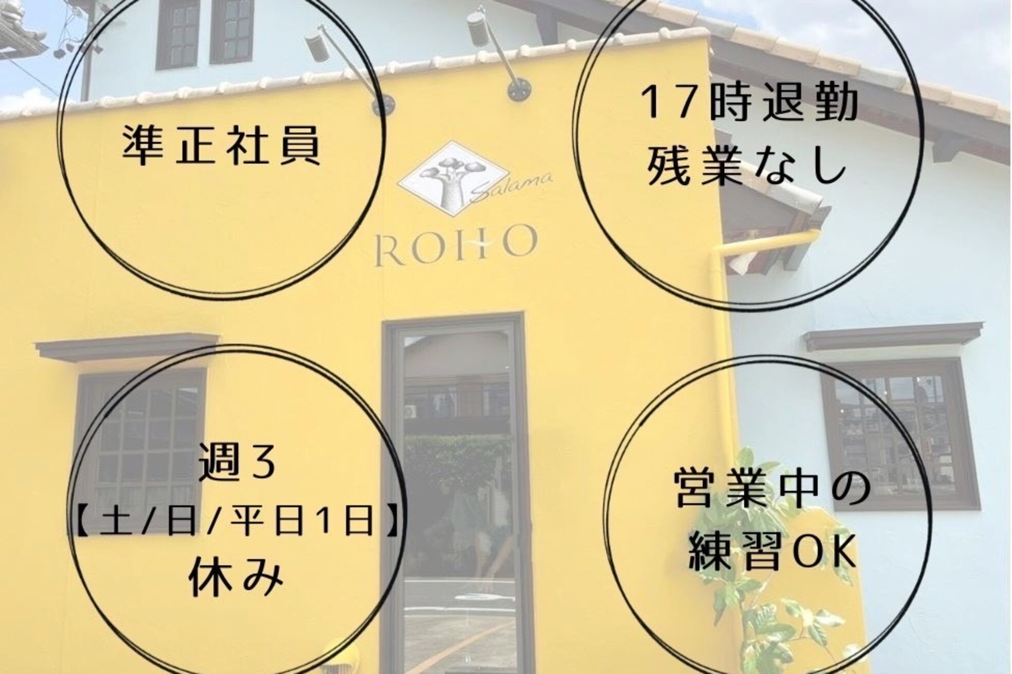 ロホサラマ(ROHO salama)2