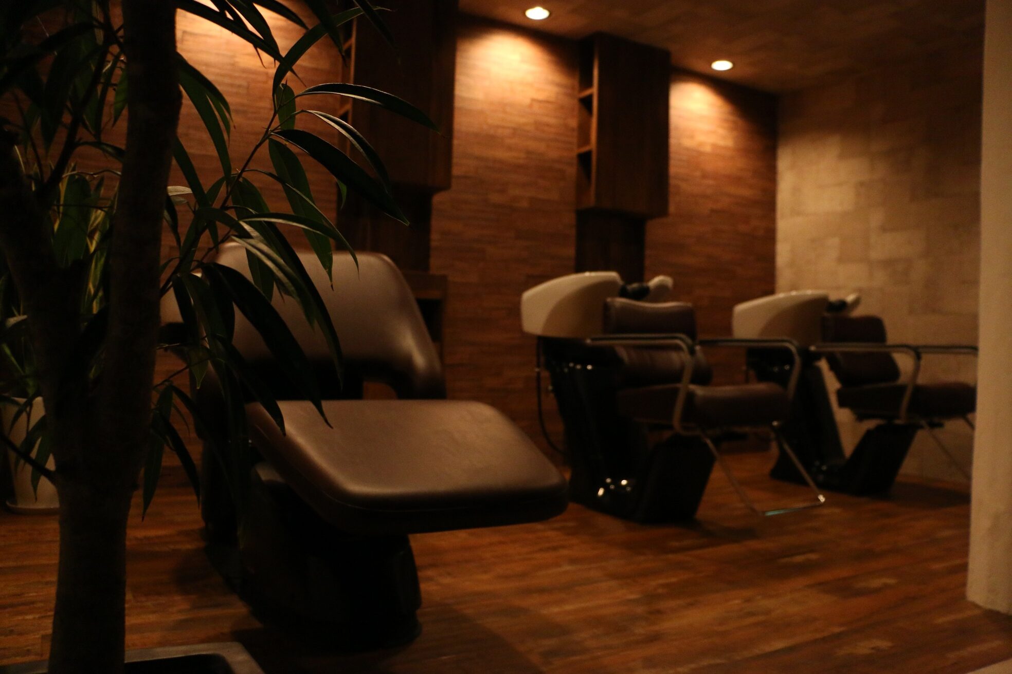 ドルチェ ヘアーガーデン(DOLCE hair garden)2