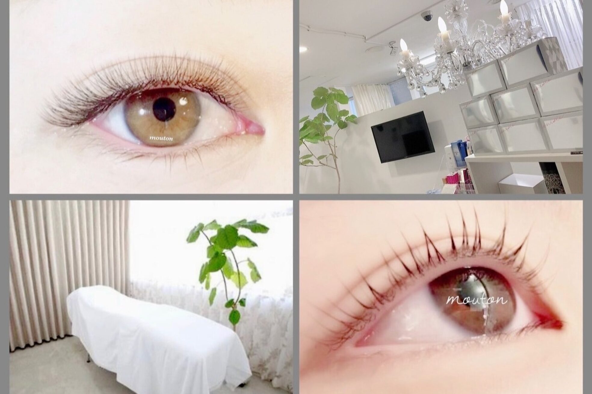 ムートン(mouton)3