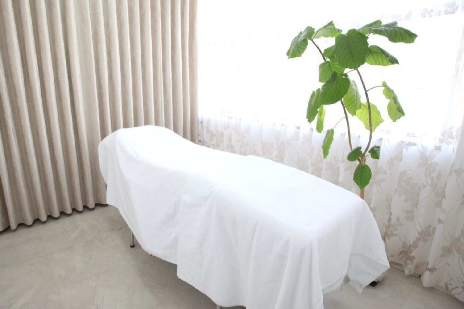 ムートン(mouton)2