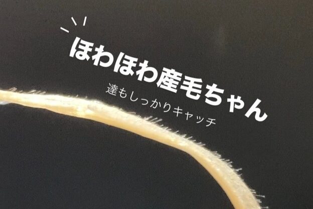 ハリウッドブロウリフト ワクシー 青山店(HOLLYWOOD BROW LIFT WAXYYY.)12