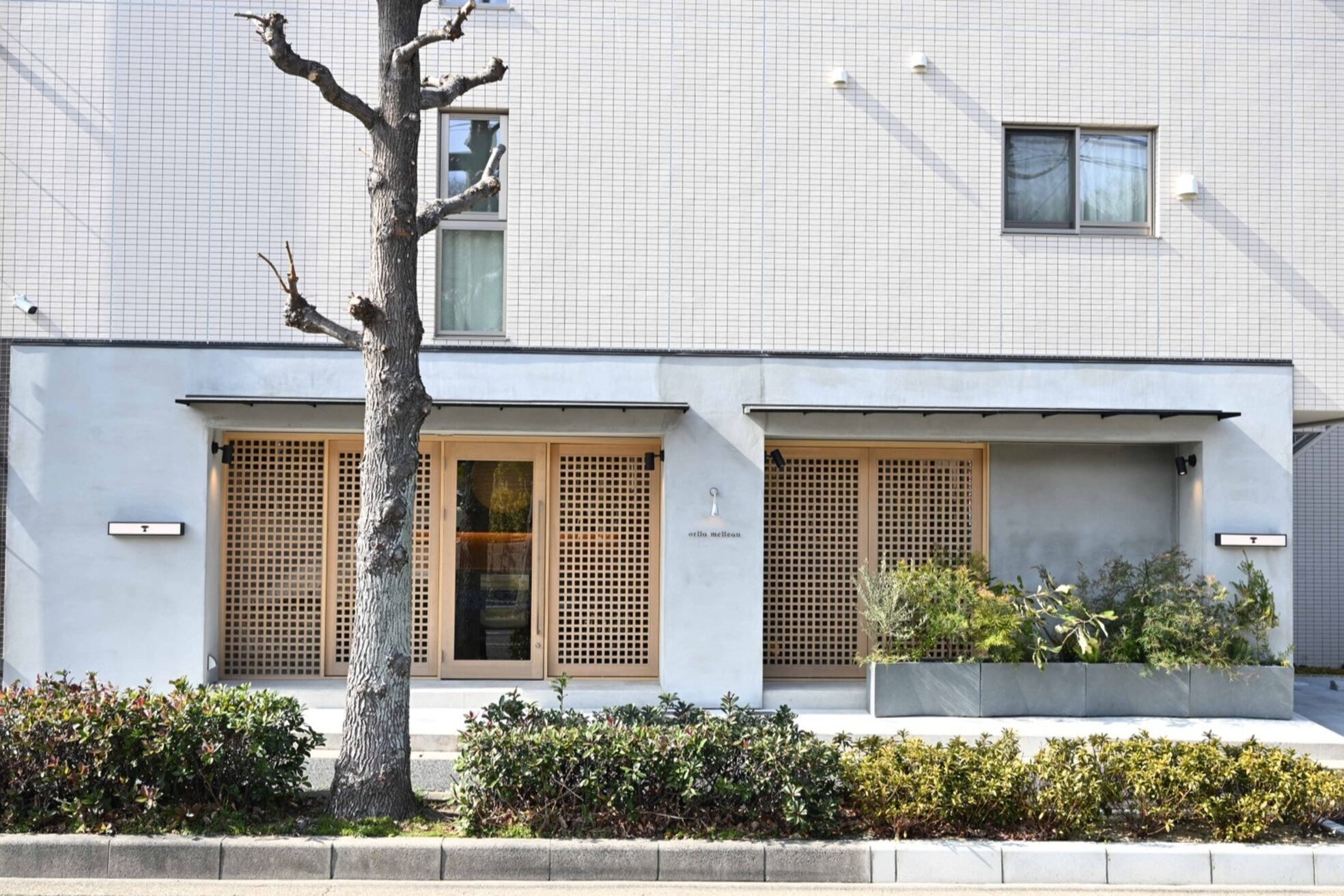 オーラメロウ(orlla melleau)10