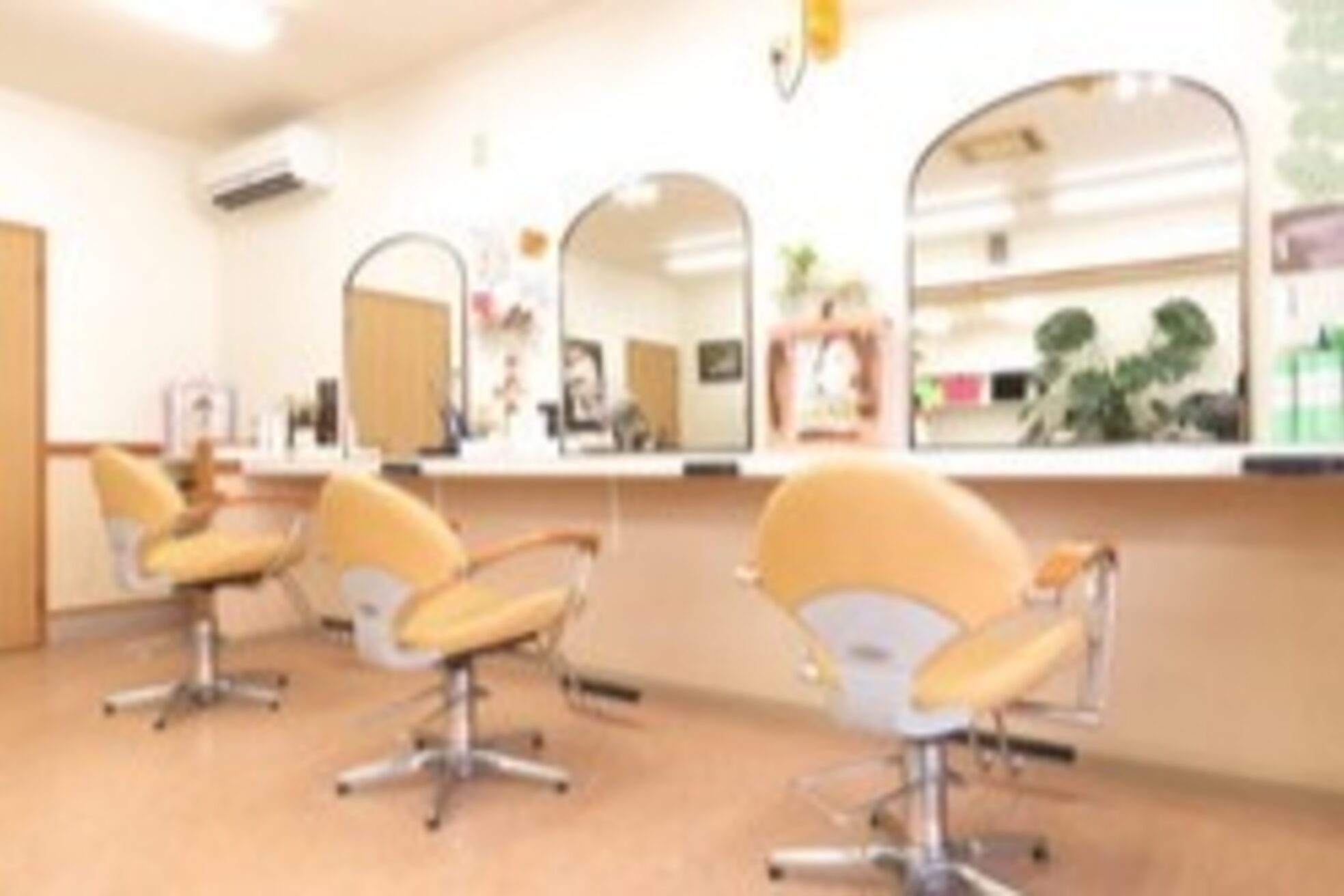 ポプラル(POPULAR)1