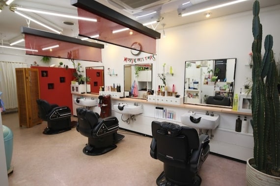 ポプラル(POPULAR)