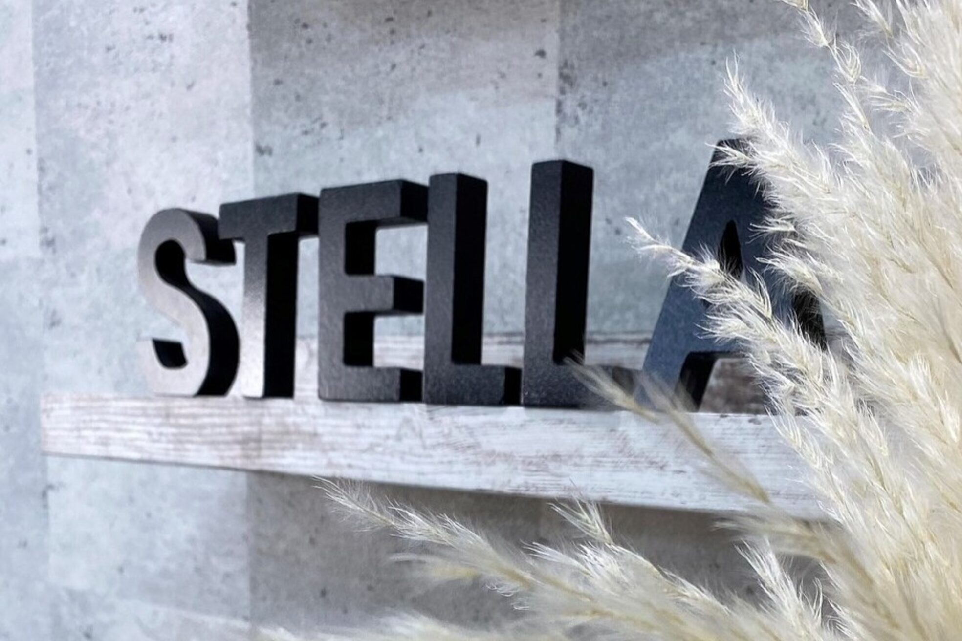 ステラ 川口店(Stella)2