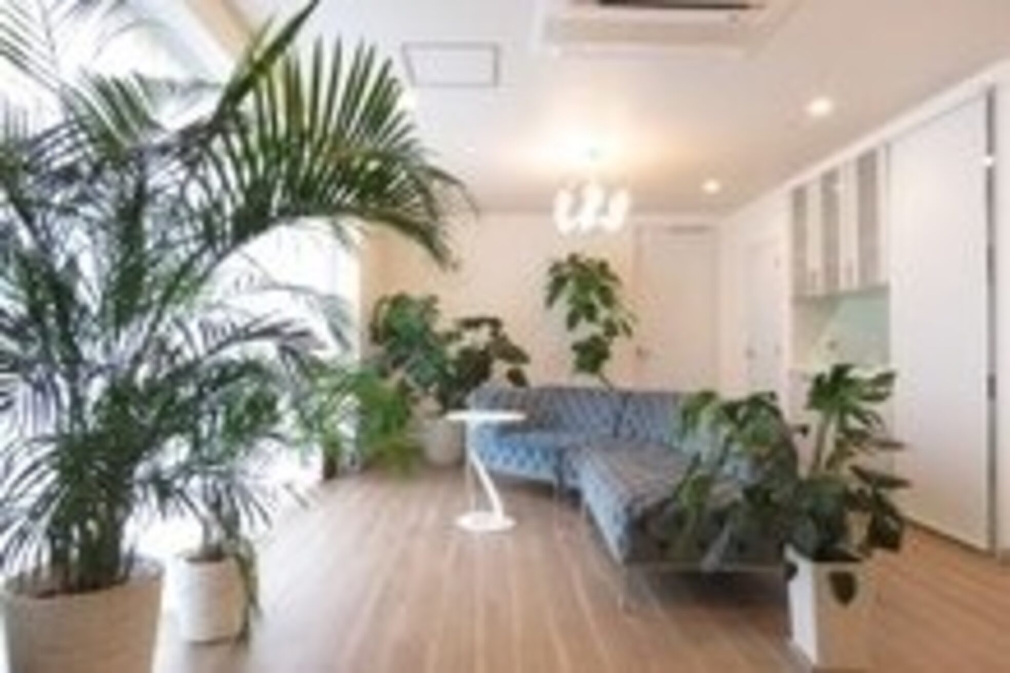 十色 麻布十番店(AZABUJUBAN)1
