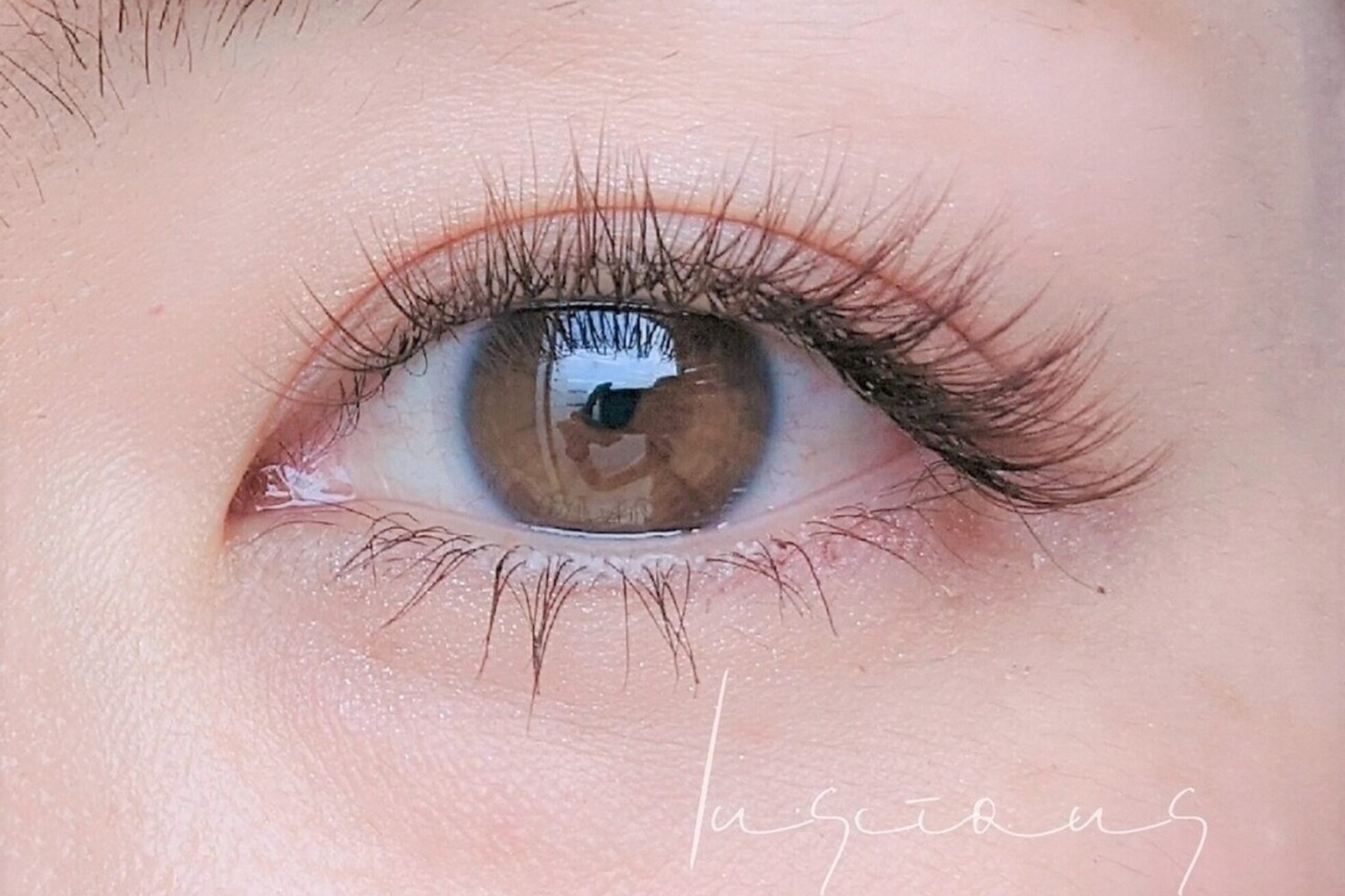 ラシェス(luscious)25