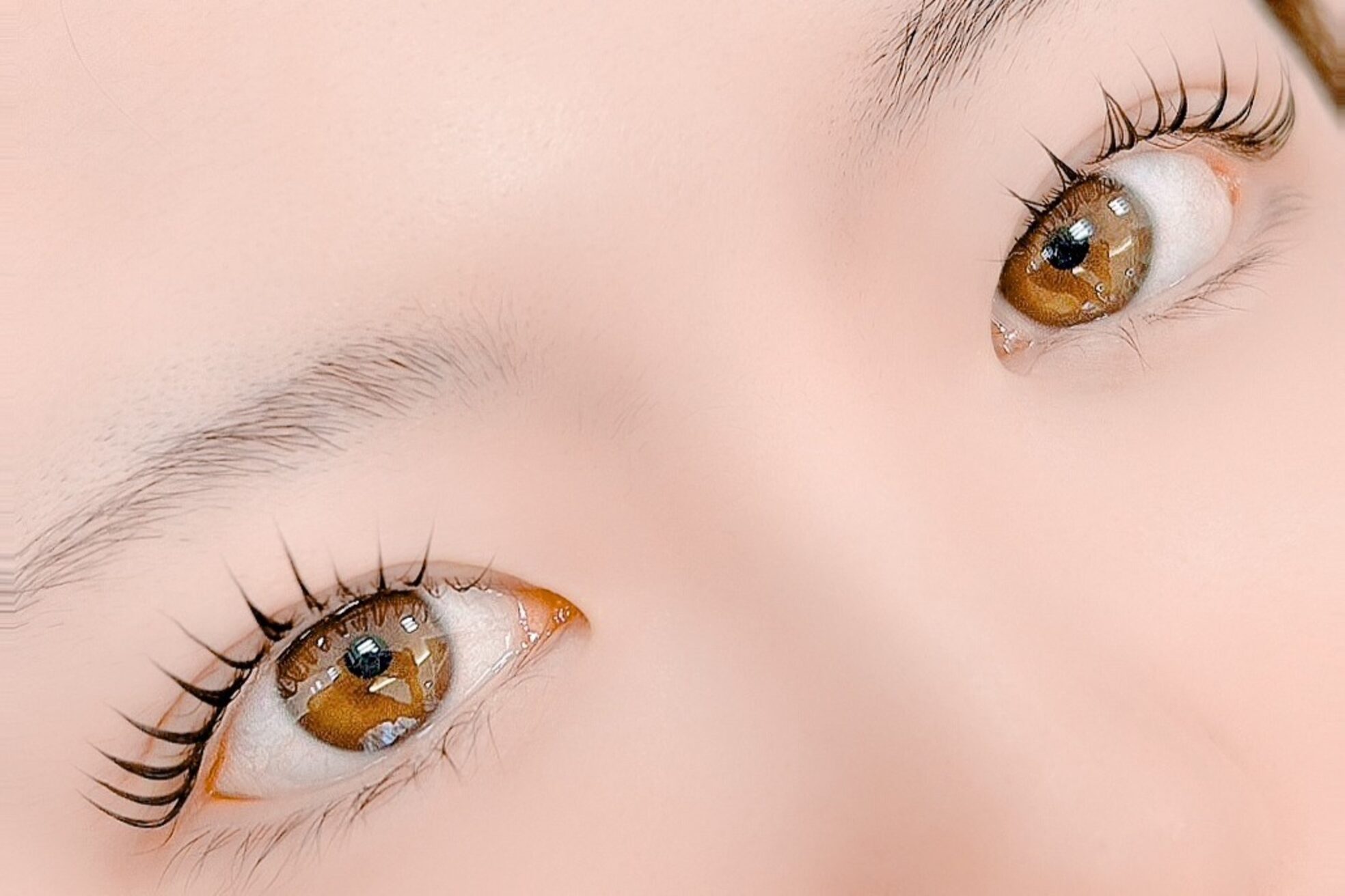 ラシェスハスダ(Luscious hasuda)16