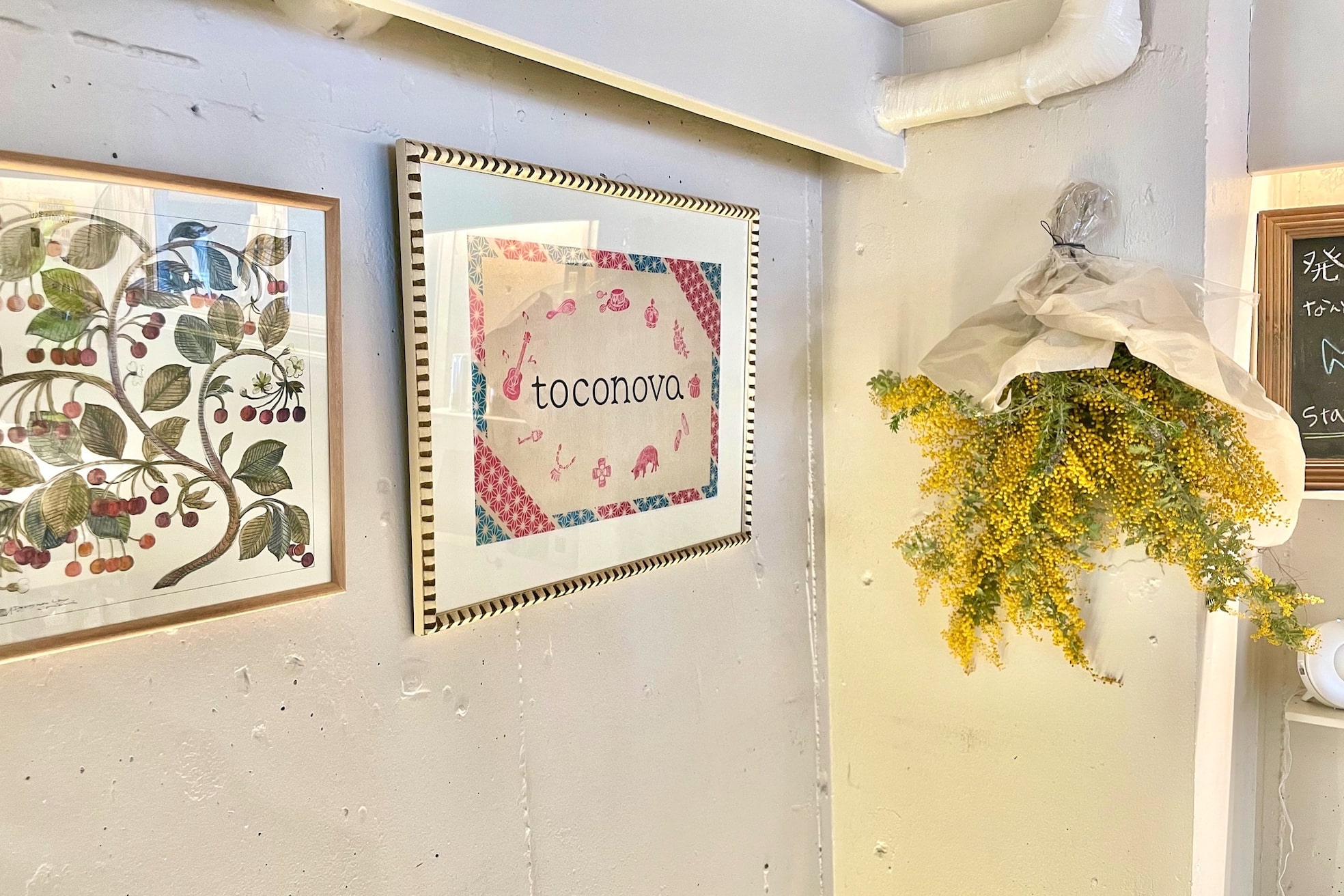 トコノバ(toconova)10