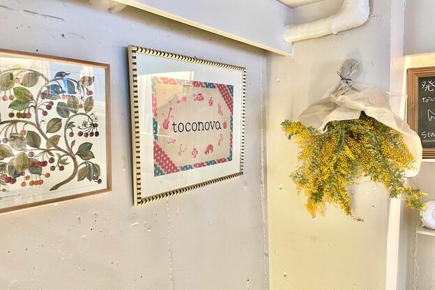 トコノバ(toconova)10