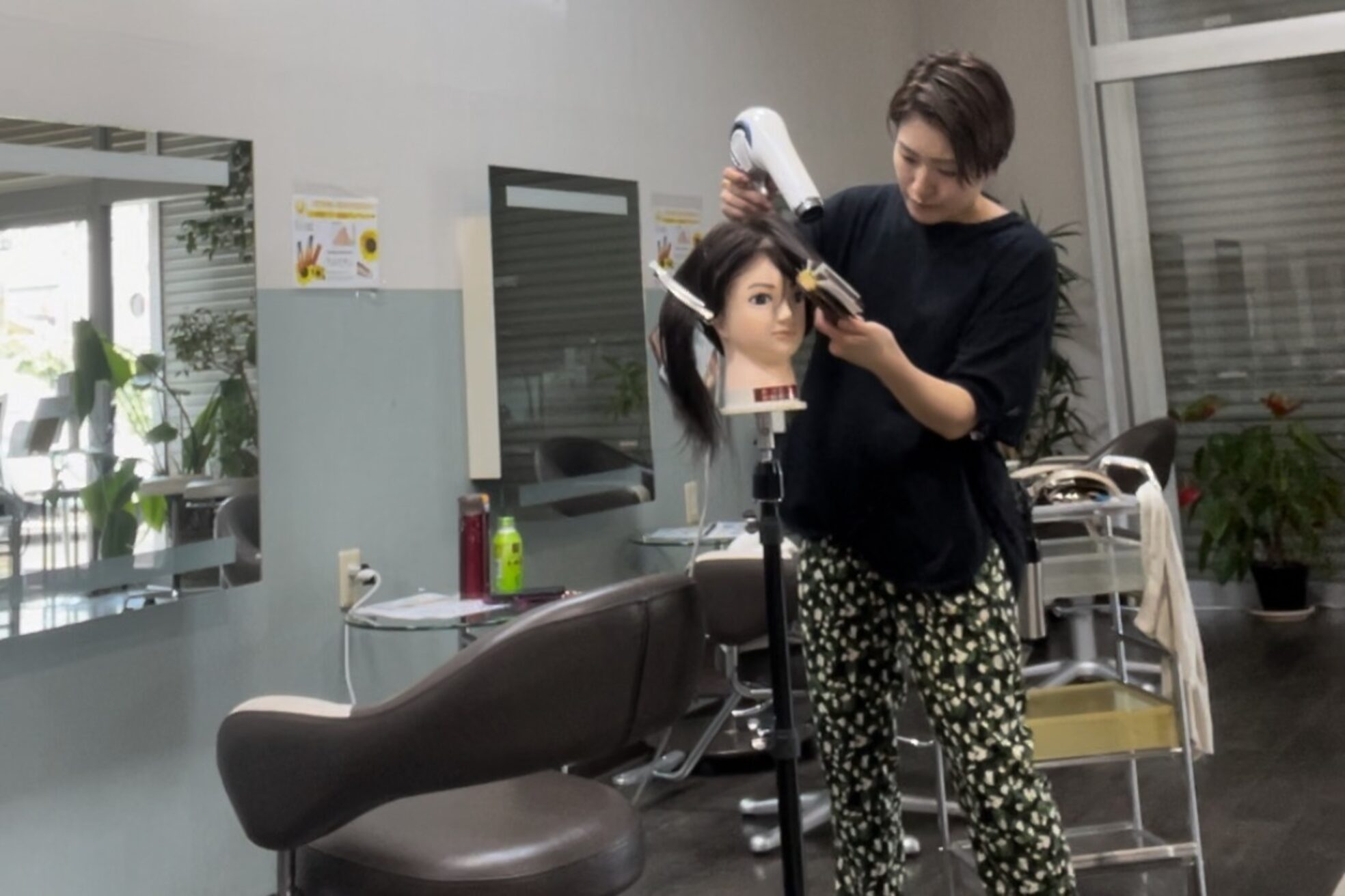 アライアンスガーデン(ALLIANCE GARDEN)6